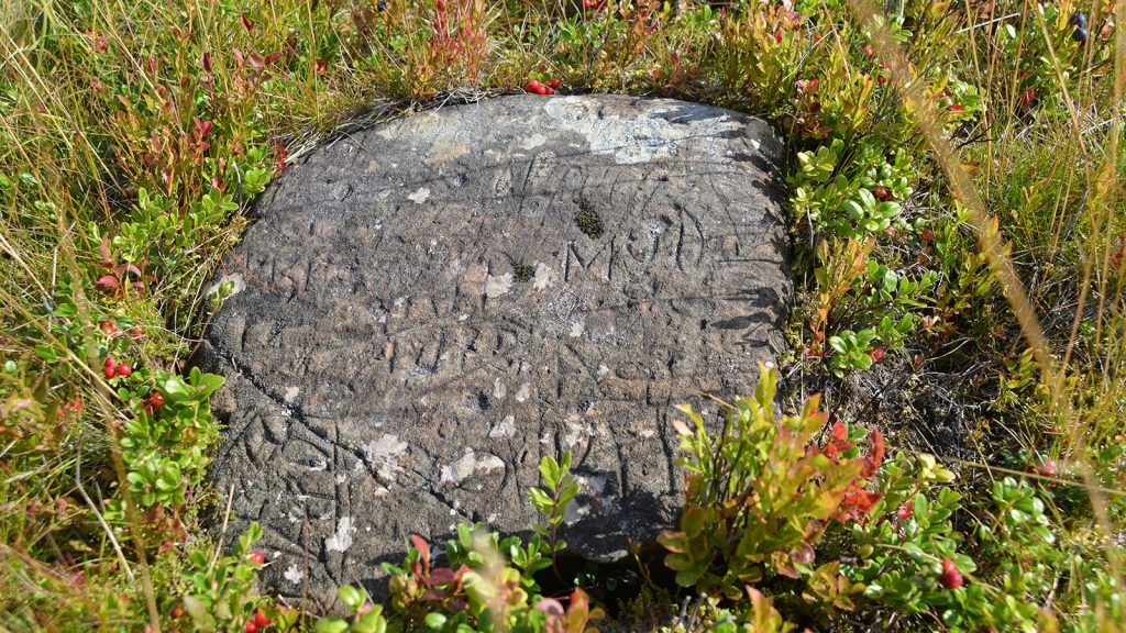 Fäbodristning i Vasaloppsbacken