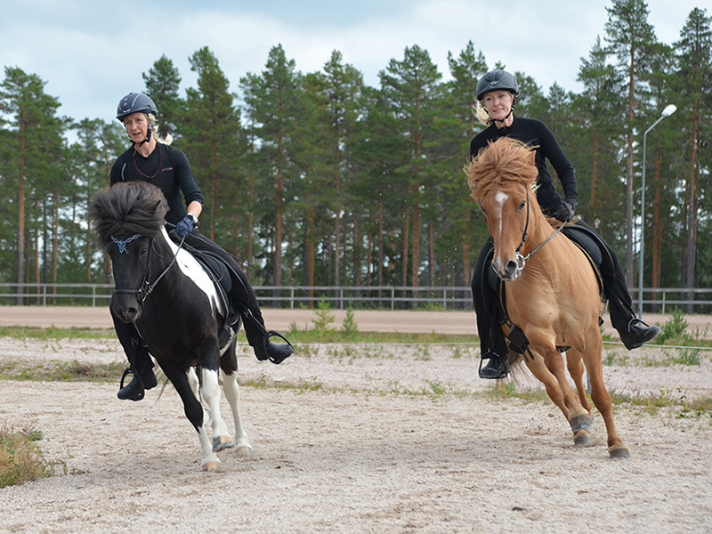 Lina och Helena rider Islandshäst